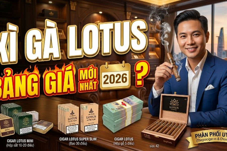 Giá Xì Gà Lotus Chính Hãng Vinataba | Tổng Kho Uy Tín Nhất